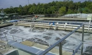 Mạ kim loại có độc không và ảnh hưởng thế nào đến môi trường?